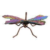 Quartz & Black Kaynite Dragonfly ornaments with electroplated painted metal frame S/ M size