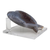 Transparent Acrylic display stand ,4 sizes