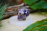 Chevron Amethyst Alien Head Carving Natural Gemstone Healing Energy