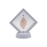 Plastic Floating Display set in 7/9/10cm in white and black color