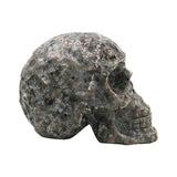 Arfvedsonite Garnet and firestone skull