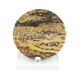 Picture Jasper Slices