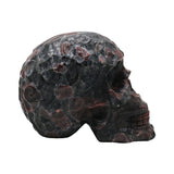 Arfvedsonite Garnet and firestone skull