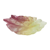 Candy Fluorite Flowers