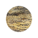 Picture Jasper Slices