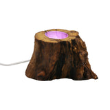 Pomegranate Lamp base with USB cable
