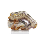 Feather Fluorite Slices