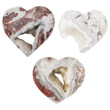 Mexico Agate palm stone and heart shape stone