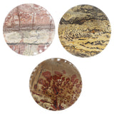 Picture Jasper Slices
