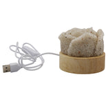 Rock Quartz Rose wooden base table lamp with a USB cable
