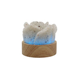 Rock Quartz Rose wooden base table lamp with a USB cable
