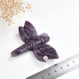 2.5'' Size Chevon Amethyst Dragonfly Carvings，DFL0001AT