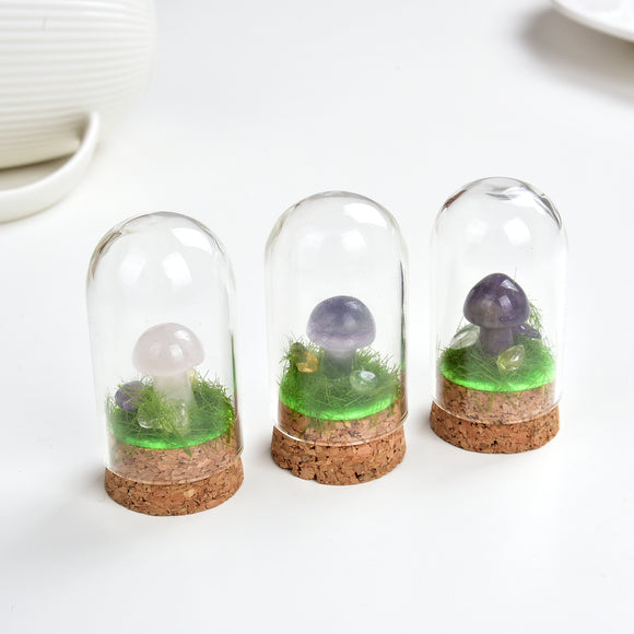 Gemstone Mushrooms With Glass Dome Cover Design, MSR0001XX