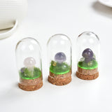 Gemstone Mushrooms With Glass Dome Cover Design, MSR0001XX