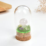 Gemstone Mushrooms With Glass Dome Cover Design, MSR0001XX