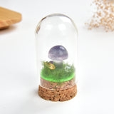 Gemstone Mushrooms With Glass Dome Cover Design, MSR0001XX