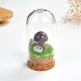 Gemstone Mushrooms With Glass Dome Cover Design, MSR0001XX