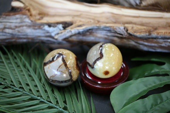 Septarian Spheres 2 lb Wholesale Lot Natural Gemstone Crystal Energy