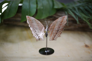 Fire Quartz Butterfly on Stand Natural Gemstone Carving Hematoid