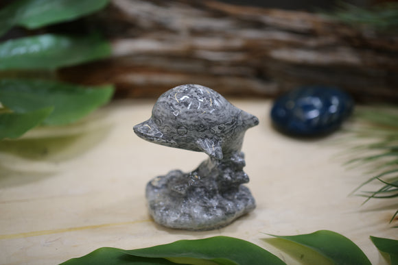 Gemstone Dolphin Picasso Jasper Natural Crystal Carving Energy