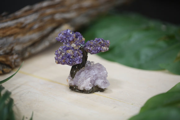 Amethyst Crystal Tree Wholesale Natural Gemstone 3 Leaf - 3.25