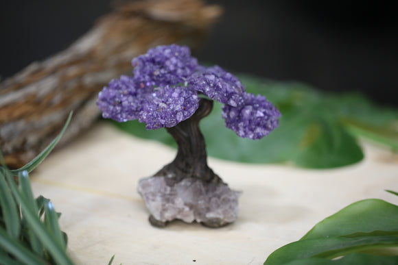 Amethyst Crystal Tree Wholesale Natural Gemstone 6 Leaf - 5