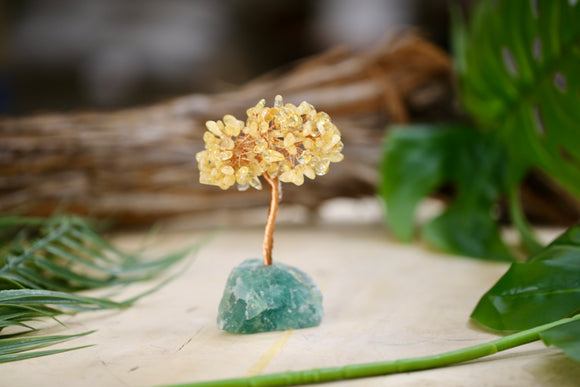 Citrine Crystal Chip Tree on Fluorite Base Wholesale Natural Crystal Energy