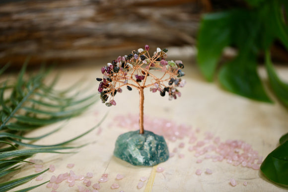 Tourmaline Crystal Chip Tree on Fluorite Base Wholesale Natural Crystal Energy