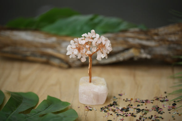 Rose Quartz Chip Tree on Rose Quartz Base Wholesale Natural Crystal Energy 4