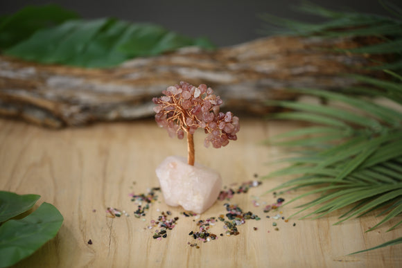 Strawberry Quartz Chip Tree on Rose Quartz Base Wholesale Natural Crystal Energy 4