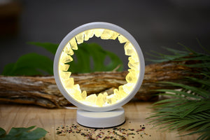 Citrine Portal Crystal Lamp LED Natural Energy USB Soft Glow Night Light
