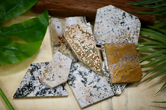 Ocean Jasper Slabs 1 kg Wholesale Polished Natural Crystal Specimens Energy