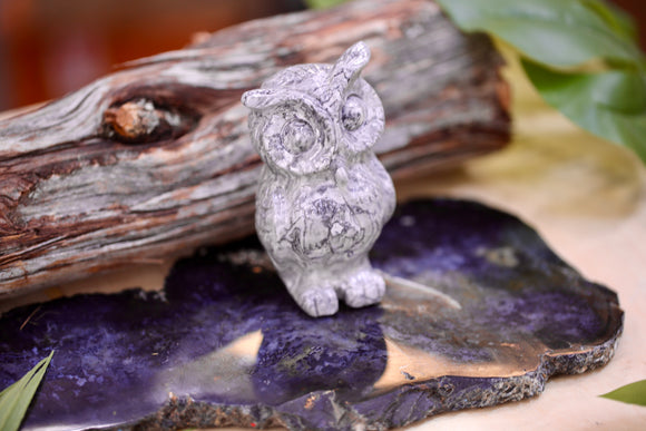 Picasso Jasper Owl Carving Wholesale Natural Crystal Healing Energy 4