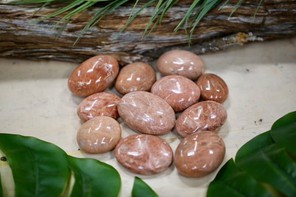 Peach Moonstone Palmstone 1kg Wholesale Bundle Natural Crystal Gift Energy