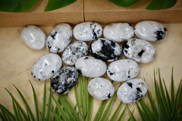 Moonstone Palmstone Wholesale 1kg Natural Crystal Gift Healing Energy