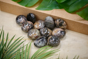 Black Moonstone Palmstone Wholesale 1kg Bunde Natural crystal Gift Energy