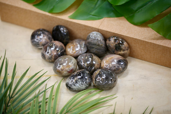 Black Moonstone Palmstone Wholesale 1kg Bunde Natural crystal Gift Energy