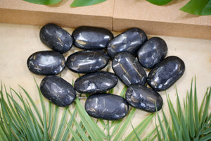 Shungite Palmstone Wholesale 1kg Bundle Natural Crystal Gift Healing Energy