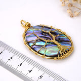 Oval Abalone Paua Pendant with Gold Plated Wire Tree, Medium Size, Pnd4002