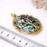 Oval Abalone Paua Pendant with Gold Plated Wire Tree, Medium Size, Pnd4005