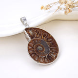 Sliced Half Ammonite Fossil Pendant, Pnd6020